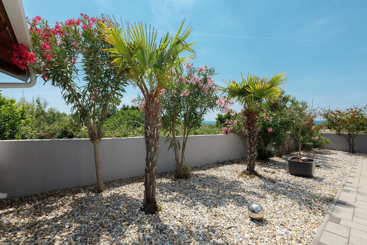 Malo Ferienvilla Privlaka, Pool, Boje, Wi-Fi, Wallbox Привлака Экстерьер фото